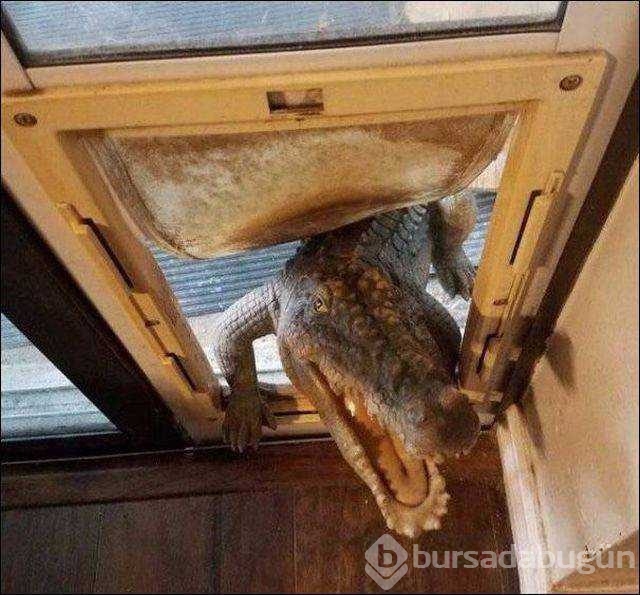 Günün en çok paylaşılan fotoğrafları