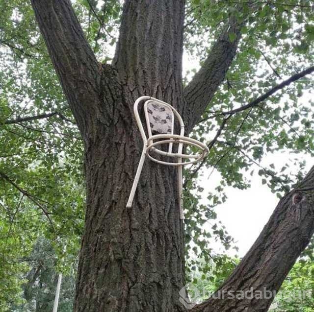 Günün en çok paylaşılan fotoğrafları