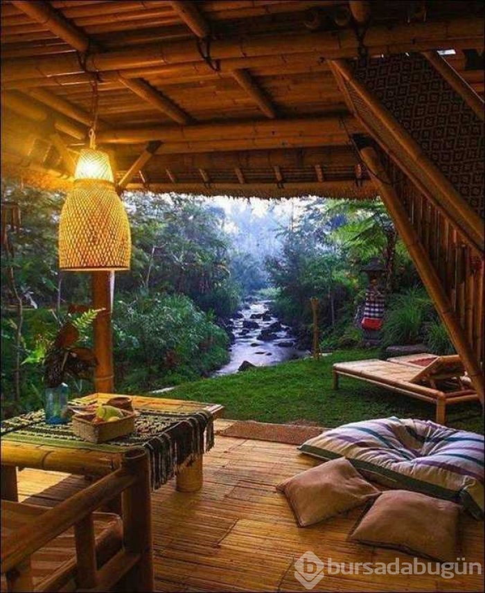 Günün en çok paylaşılan fotoğrafları