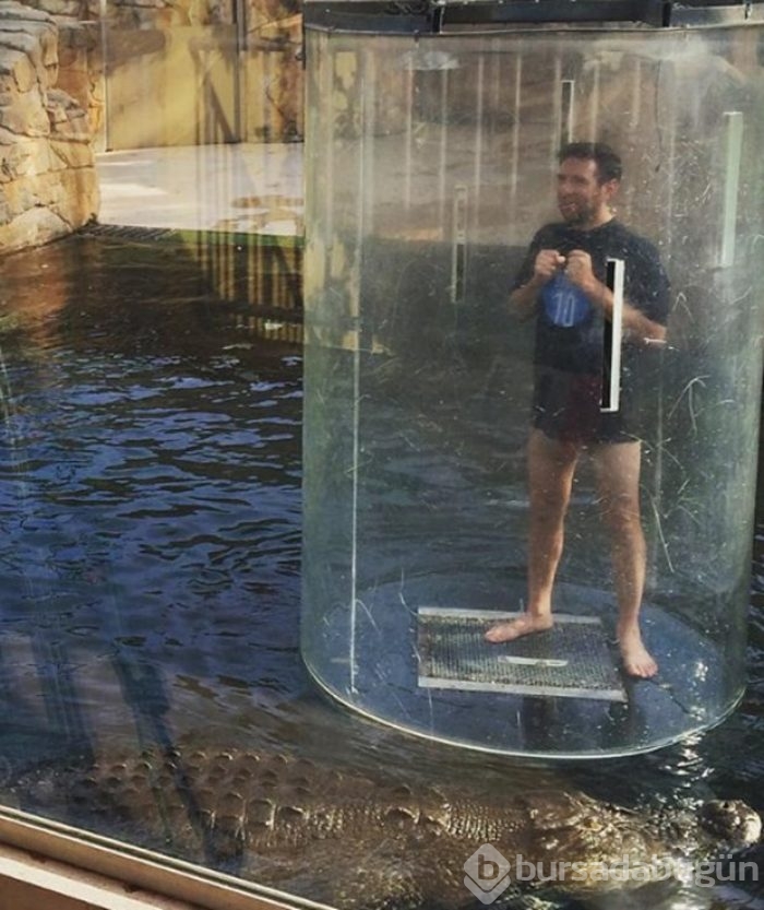 Timsah havuzunda tatil