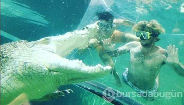 Timsah havuzunda tatil