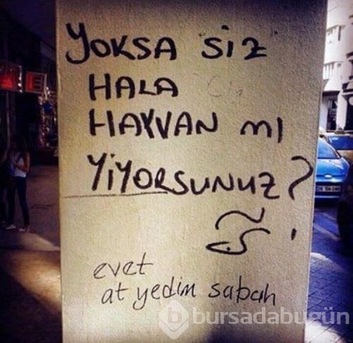 İlginç duvar yazıları
