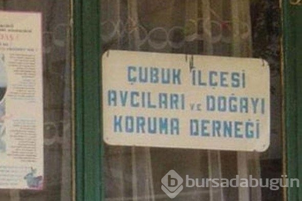 Yurdum insanı afişleri