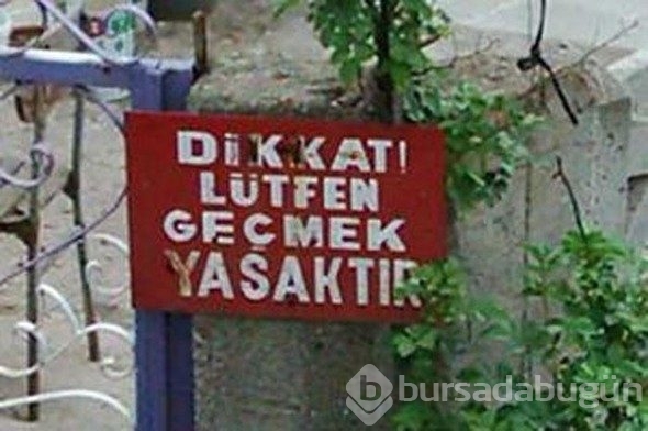 Yurdum insanı afişleri