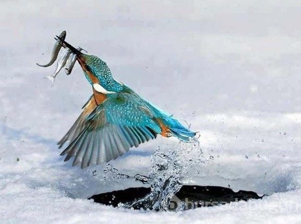 Zamanı durduran fotoğraflar