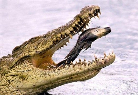 Zamanı durduran fotoğraflar