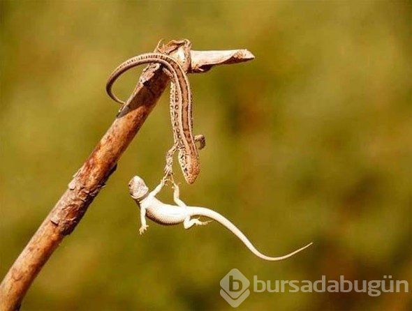 Zamanı durduran fotoğraflar