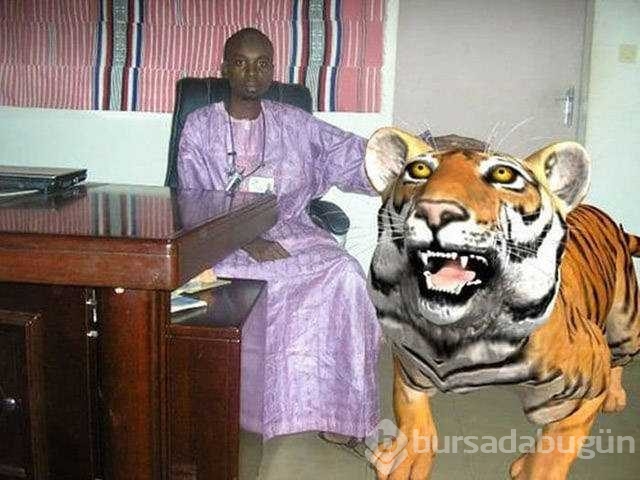 Photoshop'ta kendini rezil eden insanlar