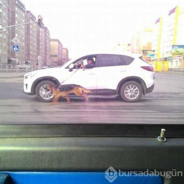 Günün en çok paylaşılan fotoğrafları