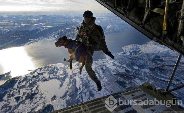 Günün en çok paylaşılan fotoğrafları