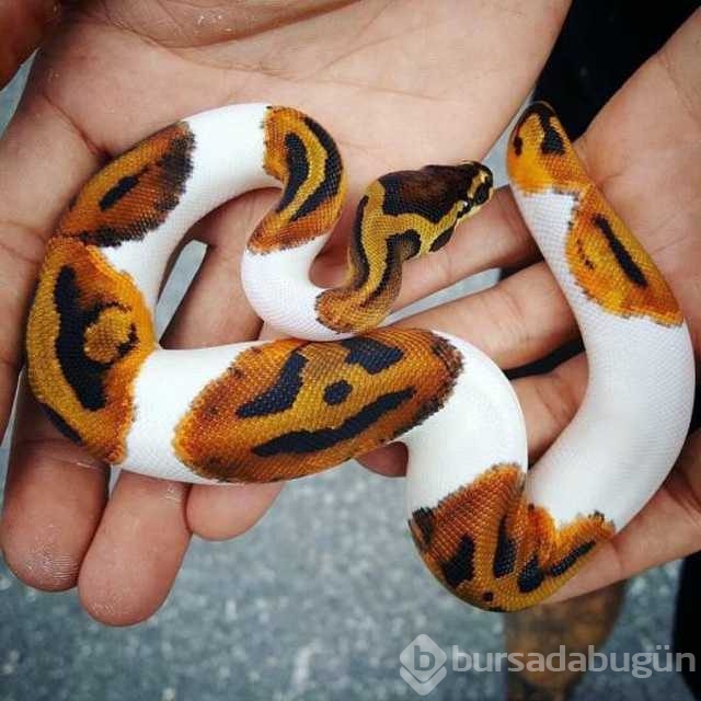 Günün en çok paylaşılan fotoğrafları