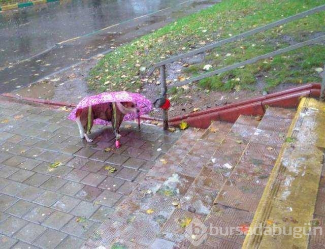 Günün en çok paylaşılan fotoğrafları