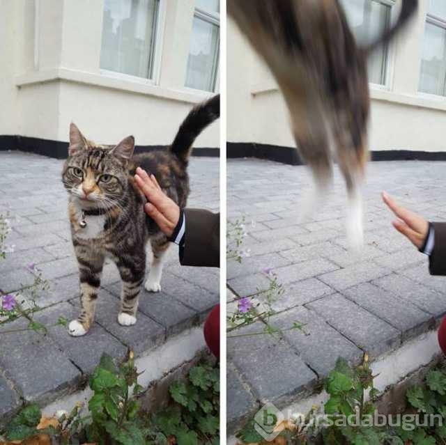 Günün en çok paylaşılan fotoğrafları