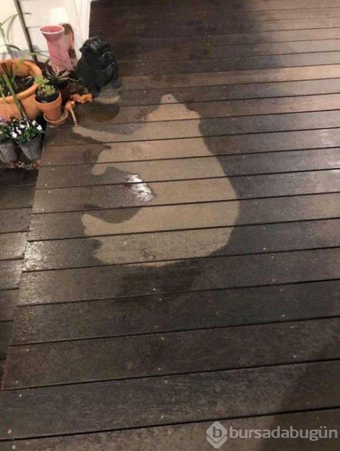 Günün en çok paylaşılan fotoğrafları