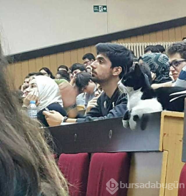 Günün en çok paylaşılan fotoğrafları