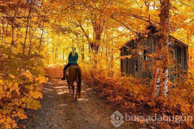 Günün en çok paylaşılan fotoğrafları