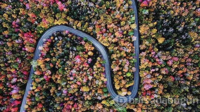 Günün en çok paylaşılan fotoğrafları
