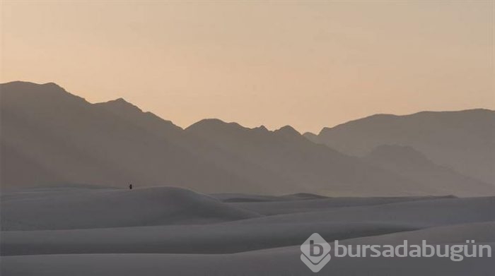 Yılın Doğa Fotoğrafçısı yarışmasından müthiş kareler