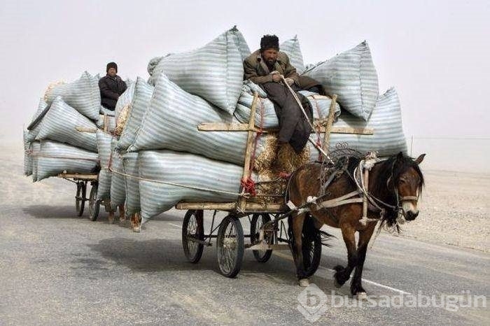 Şaşkına çeviren taşıma yöntemleri