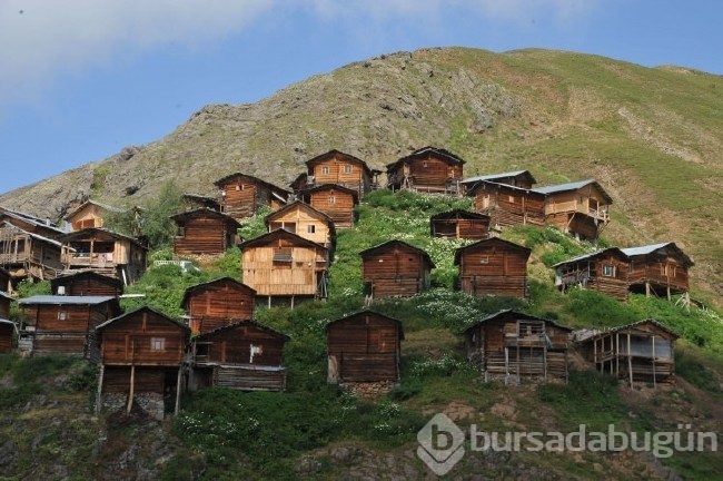 Karadeniz'in en sıra dışı yaylası