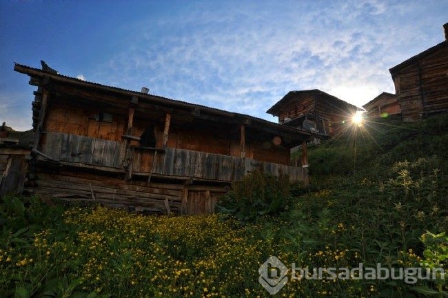 Karadeniz'in en sıra dışı yaylası