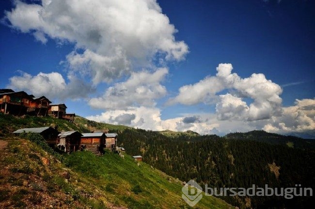 Karadeniz'in en sıra dışı yaylası