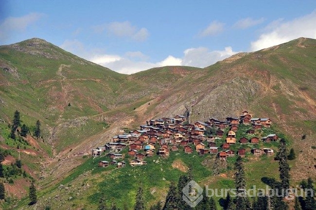 Karadeniz'in en sıra dışı yaylası