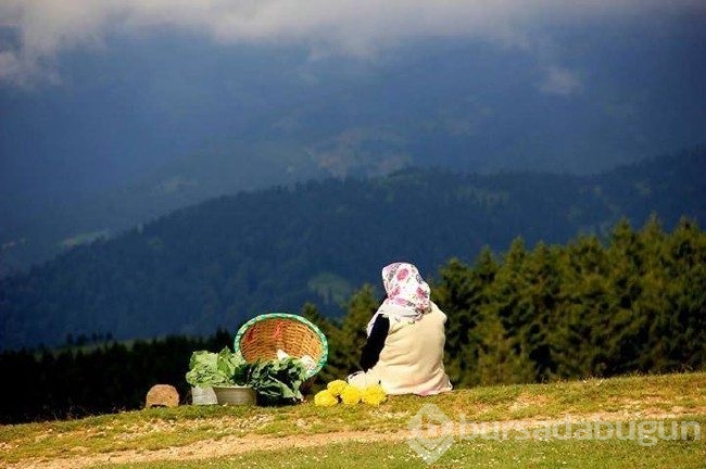 Karadeniz'in en sıra dışı yaylası