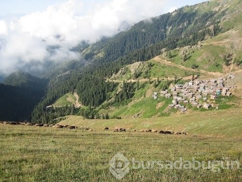 Karadeniz'in en sıra dışı yaylası