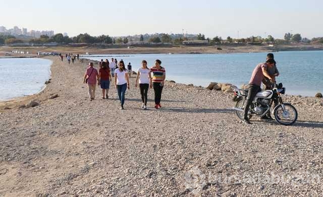 Sular çekilince adaya yürüyerek gittiler