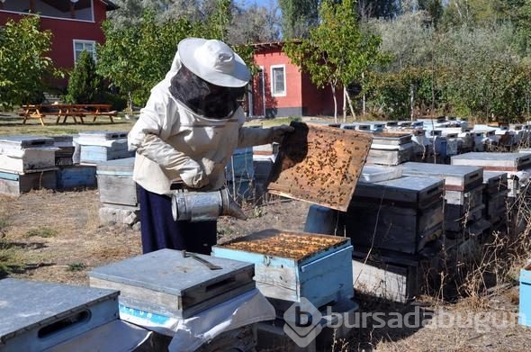 3 kovanla başladı, yılda 1.5 ton üretiyor