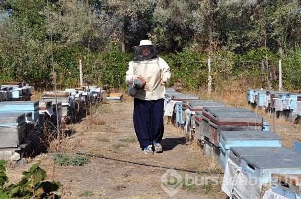 3 kovanla başladı, yılda 1.5 ton üretiyor