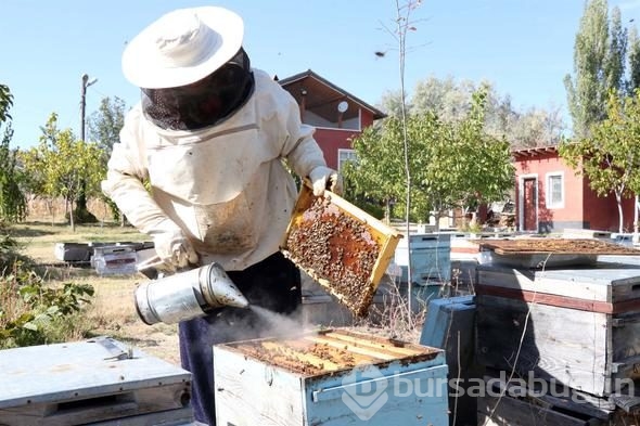 3 kovanla başladı, yılda 1.5 ton üretiyor