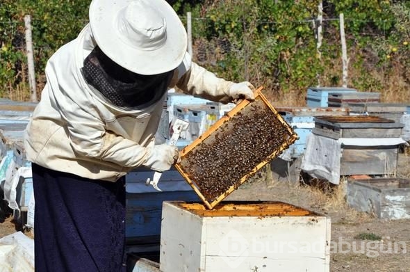3 kovanla başladı, yılda 1.5 ton üretiyor