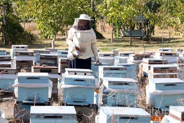 3 kovanla başladı, yılda 1.5 ton üretiyor