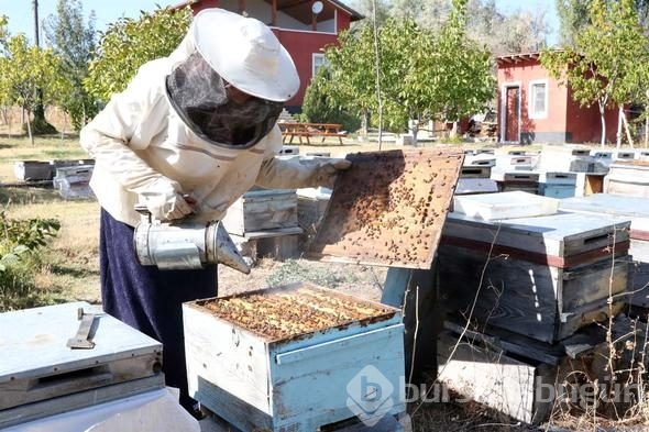 3 kovanla başladı, yılda 1.5 ton üretiyor