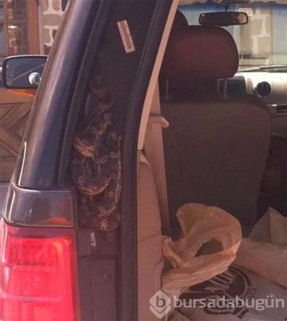 Yok artık dedirten kareler!