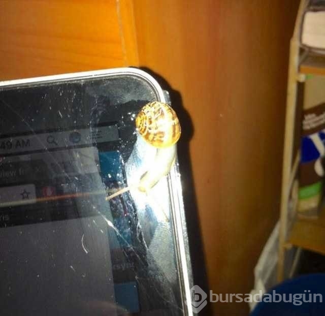 Günün en çok paylaşılan fotoğrafları