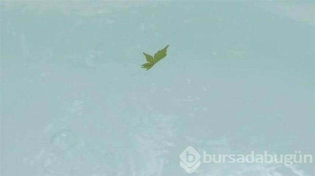 Eski eşyalarınızı atmayın!