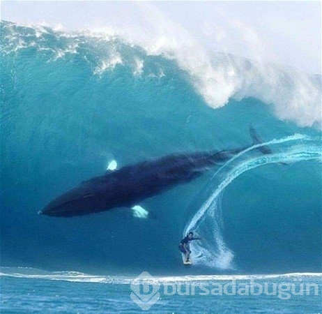 Bu fotoğraflarda photoshop yok!