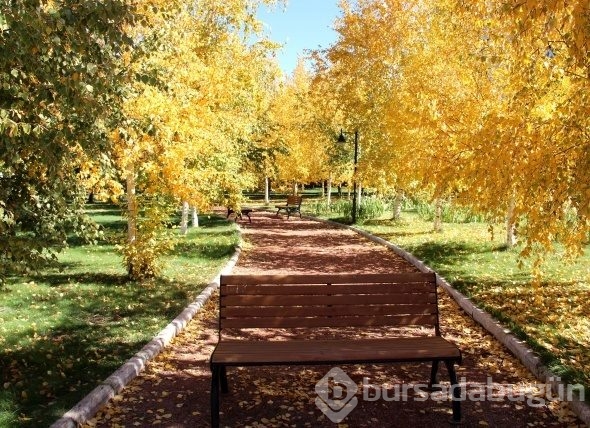 Sonbaharın sarısına bürünen Ata Botonik Parkta görüntüler