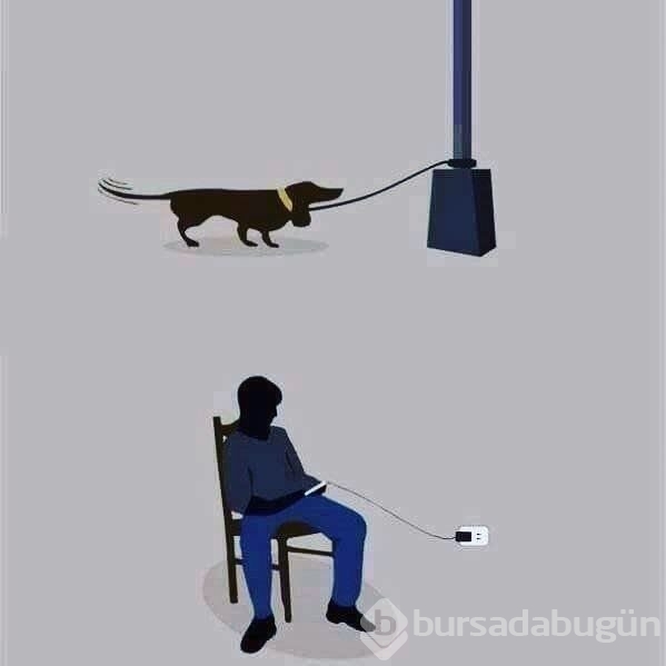 Bin kelimeye bedel resimler!
