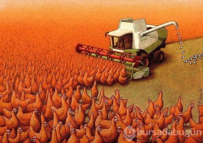 Bin kelimeye bedel resimler!
