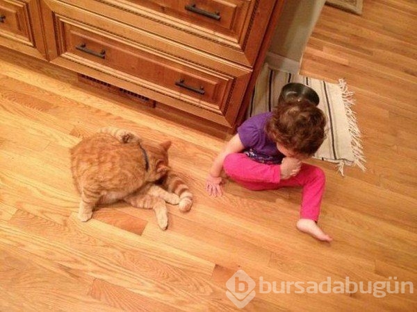 İlginç fotoğraflar