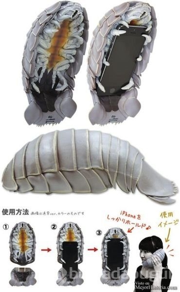 Sadece japonya'da