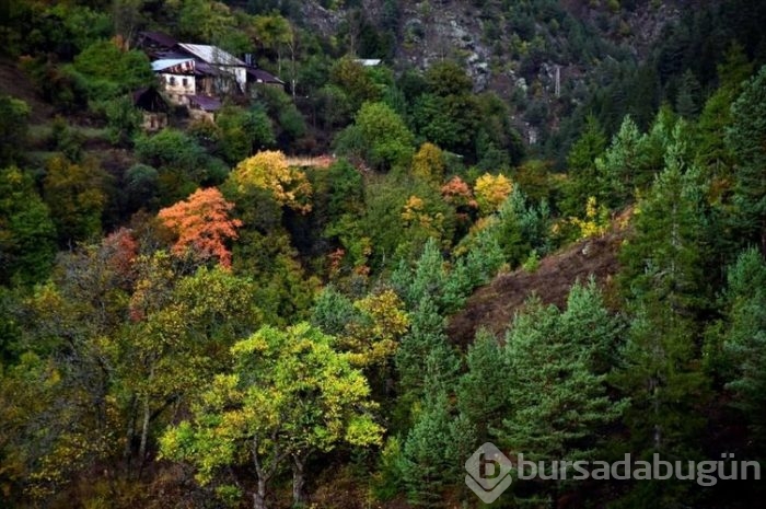 İpek yolunda sonbahar görüntüleri