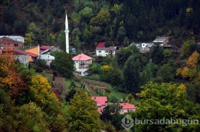 İpek yolunda sonbahar görüntüleri