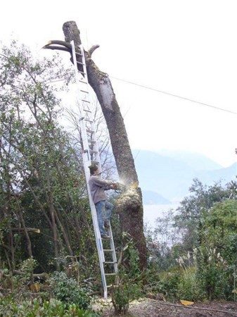 Bir kare sonrası merak edilen fotoğraflar