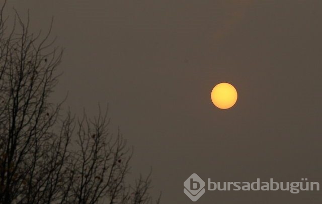 Avrupa'yı 'Turuncu' felaket sardı!