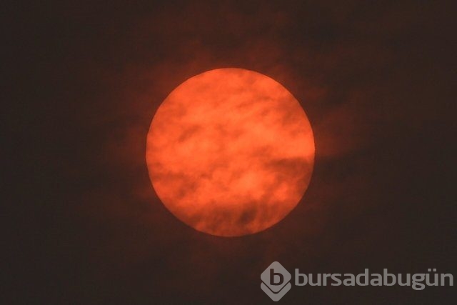 Avrupa'yı 'Turuncu' felaket sardı!